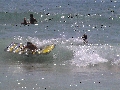Pegasos Royal - Der Strand